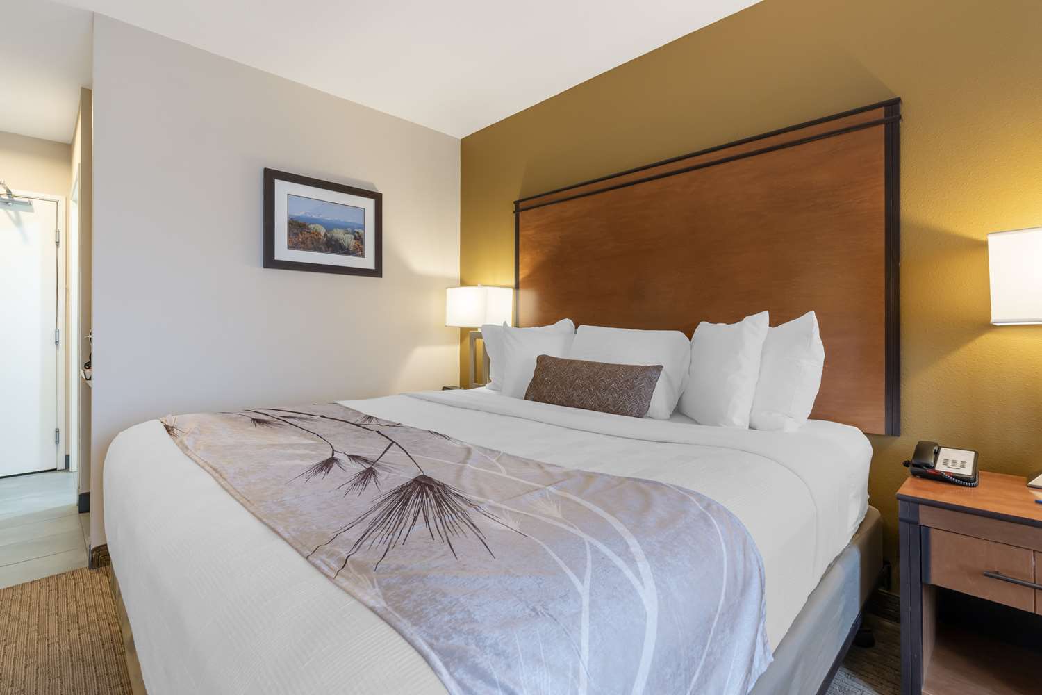 Room, King Bed