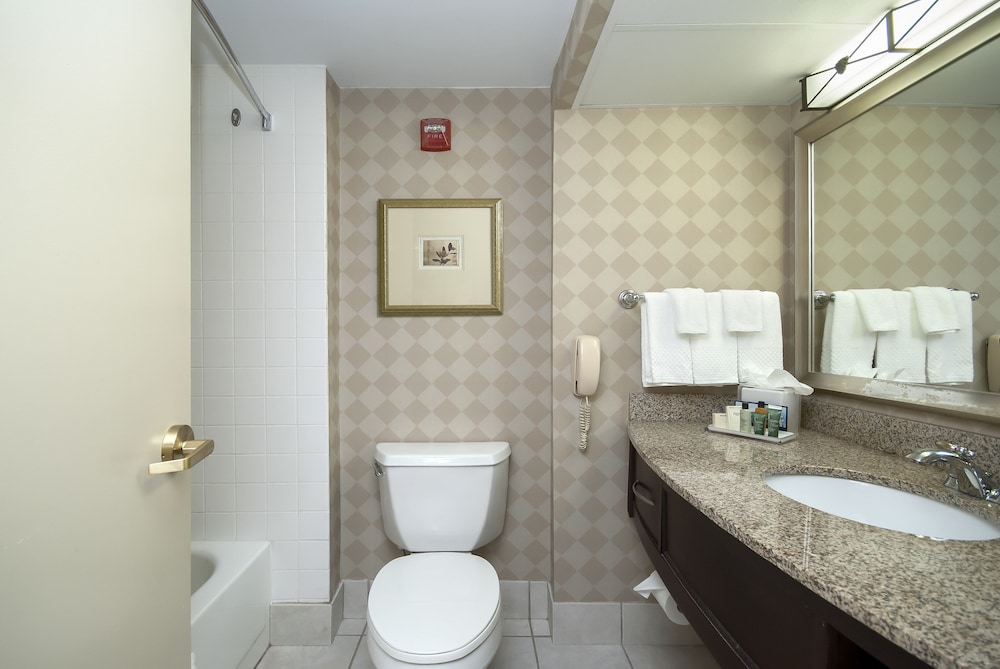 Hilton Greenville Hotel 13/69