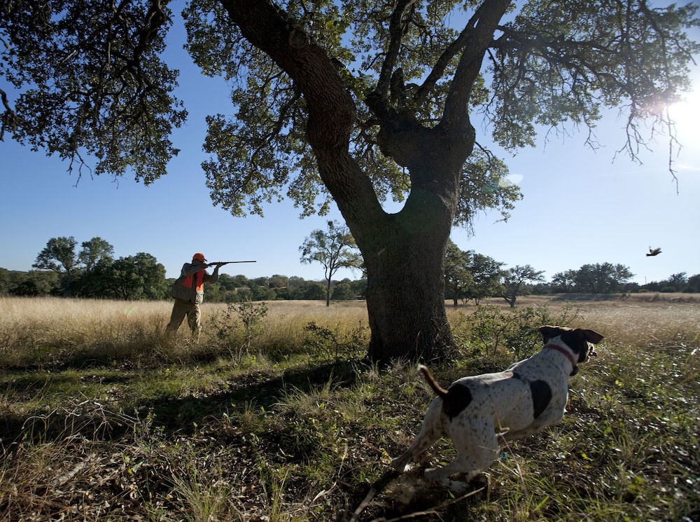 Joshua Creek Ranch 38/44