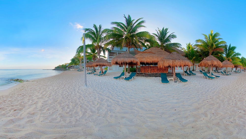 Sunscape Sabor Cozumel Resort and Spa 1/64