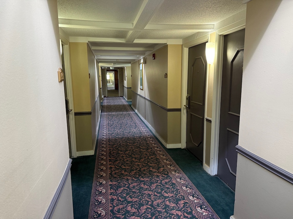 Americas Best Value Inn Webster City 36/53