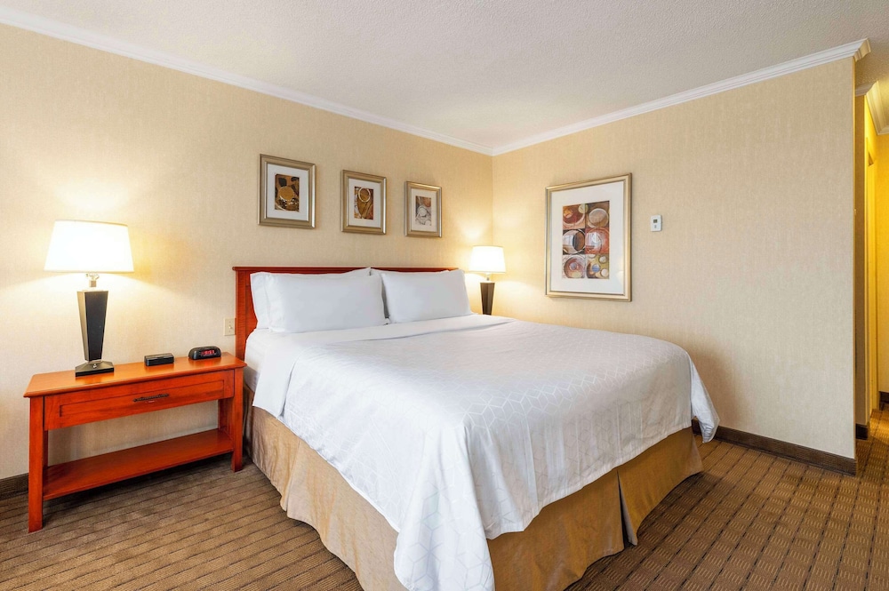 Allure Hotel & Conference Centre 21/50