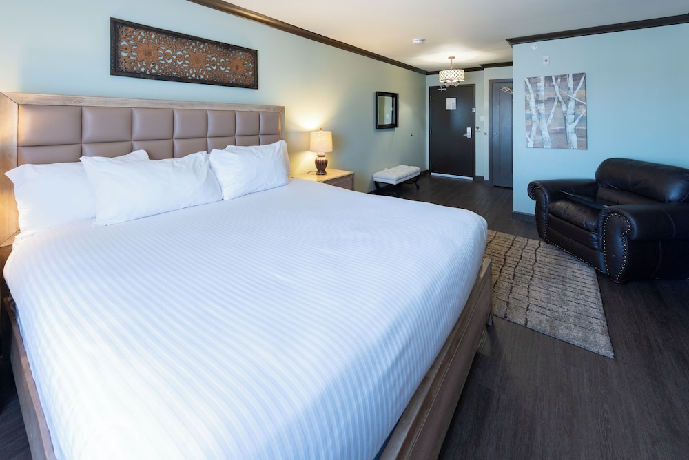 Premium, King Bed