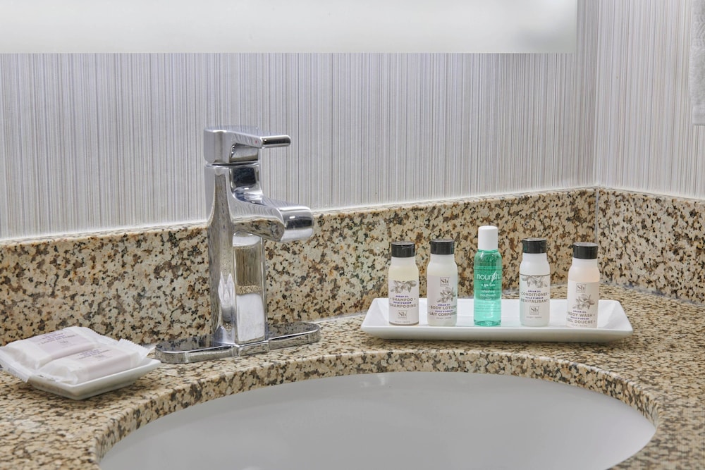 جناح تنفيذي بسرير كينج مع أريكة، Delta Hotels by Marriott Detroit Novi 4/4