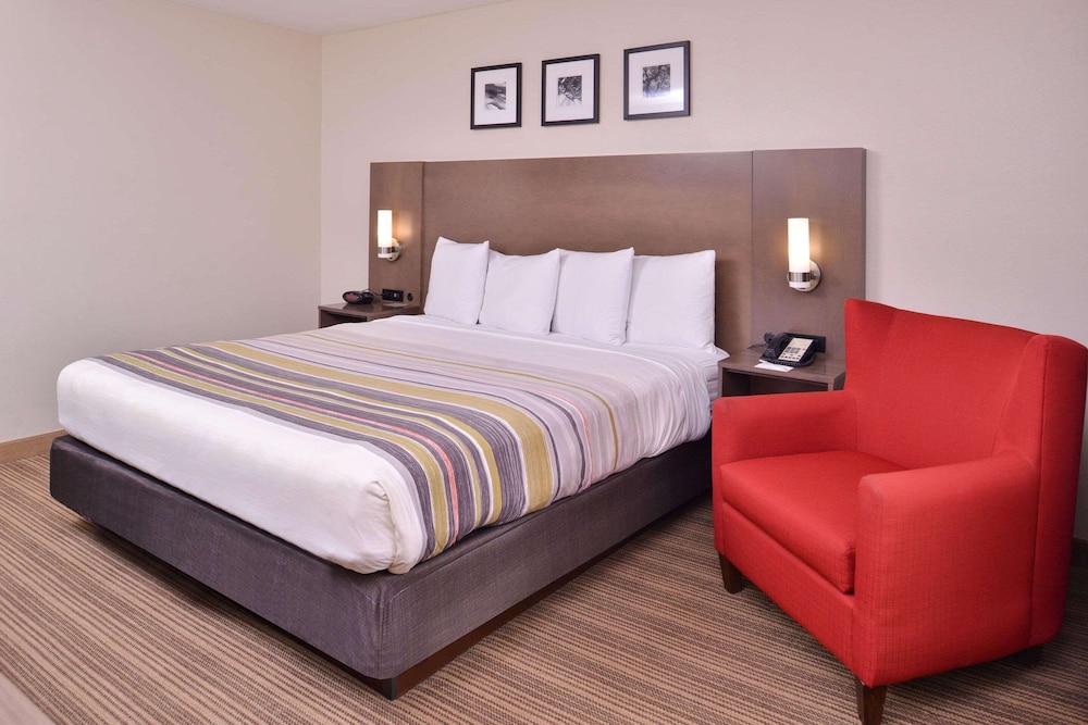 Room, King Bed