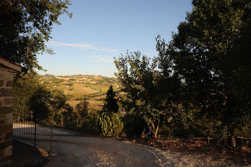 Azienda Agraria Montelujano 26/35