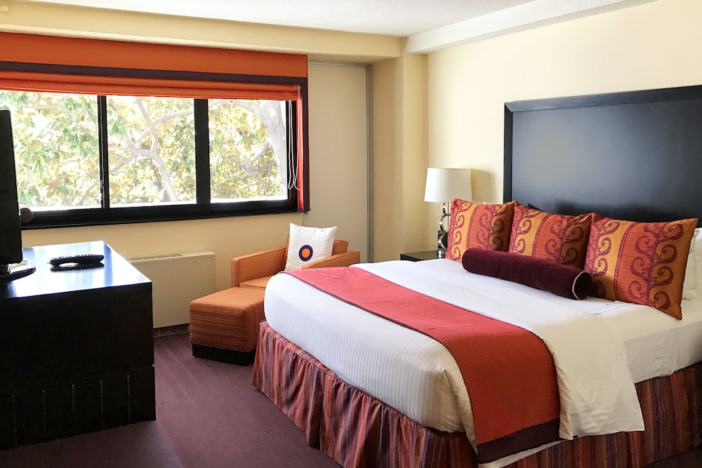 SUPERIOR, KING BED, ACCESSIBLE