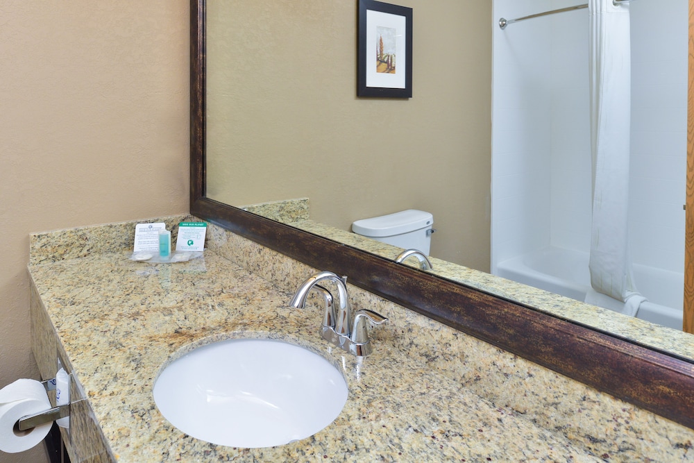 Comfort Suites near Route 66 20/49