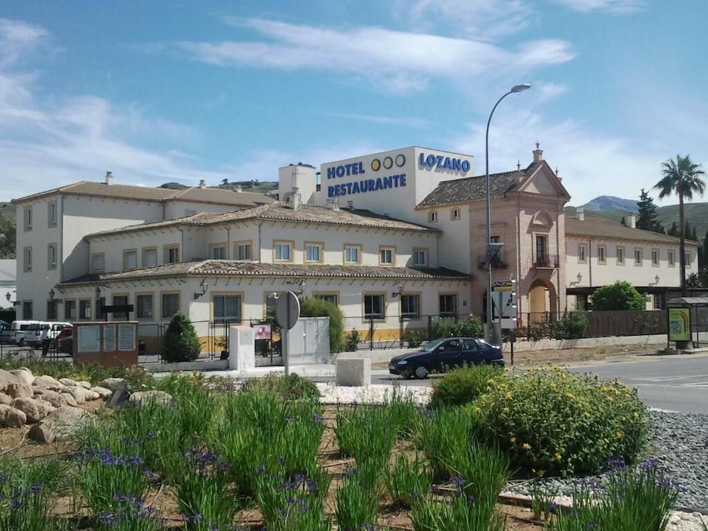 Hotel Lozano 1/24