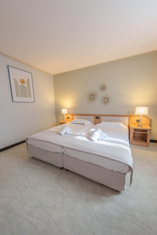 Best Western Plus Le Picardy Hotel & Spa 23/60