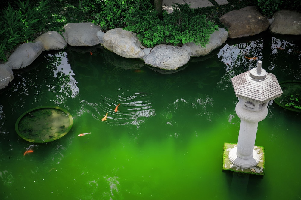 Huaman Hot Spring Villa 62/68