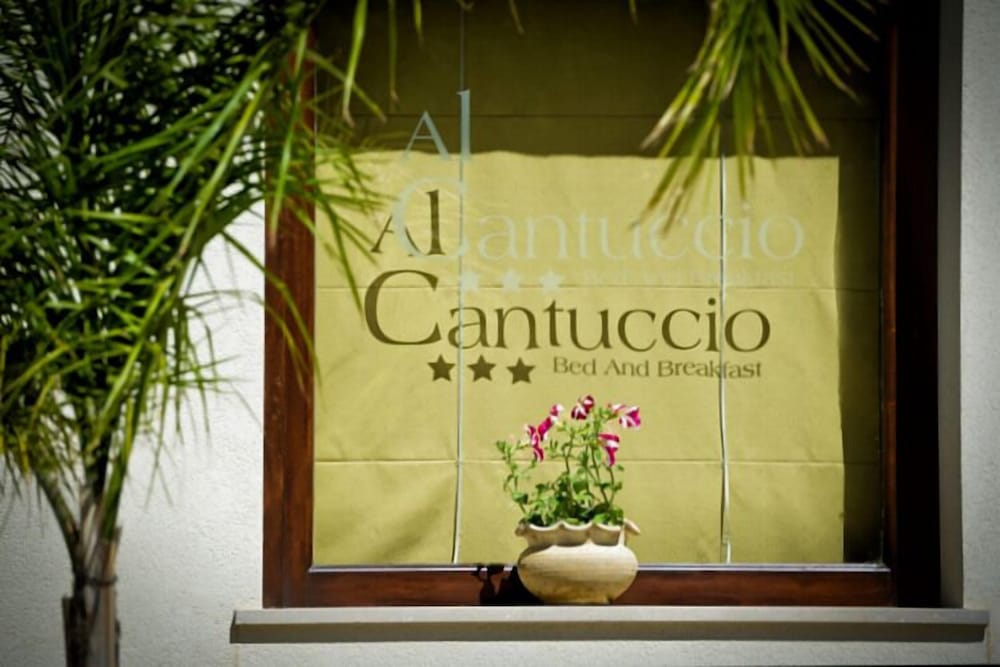 B&B Al Cantuccio 2/50