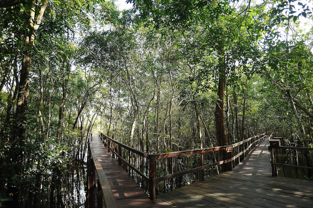 Juma Amazon Lodge 46/50