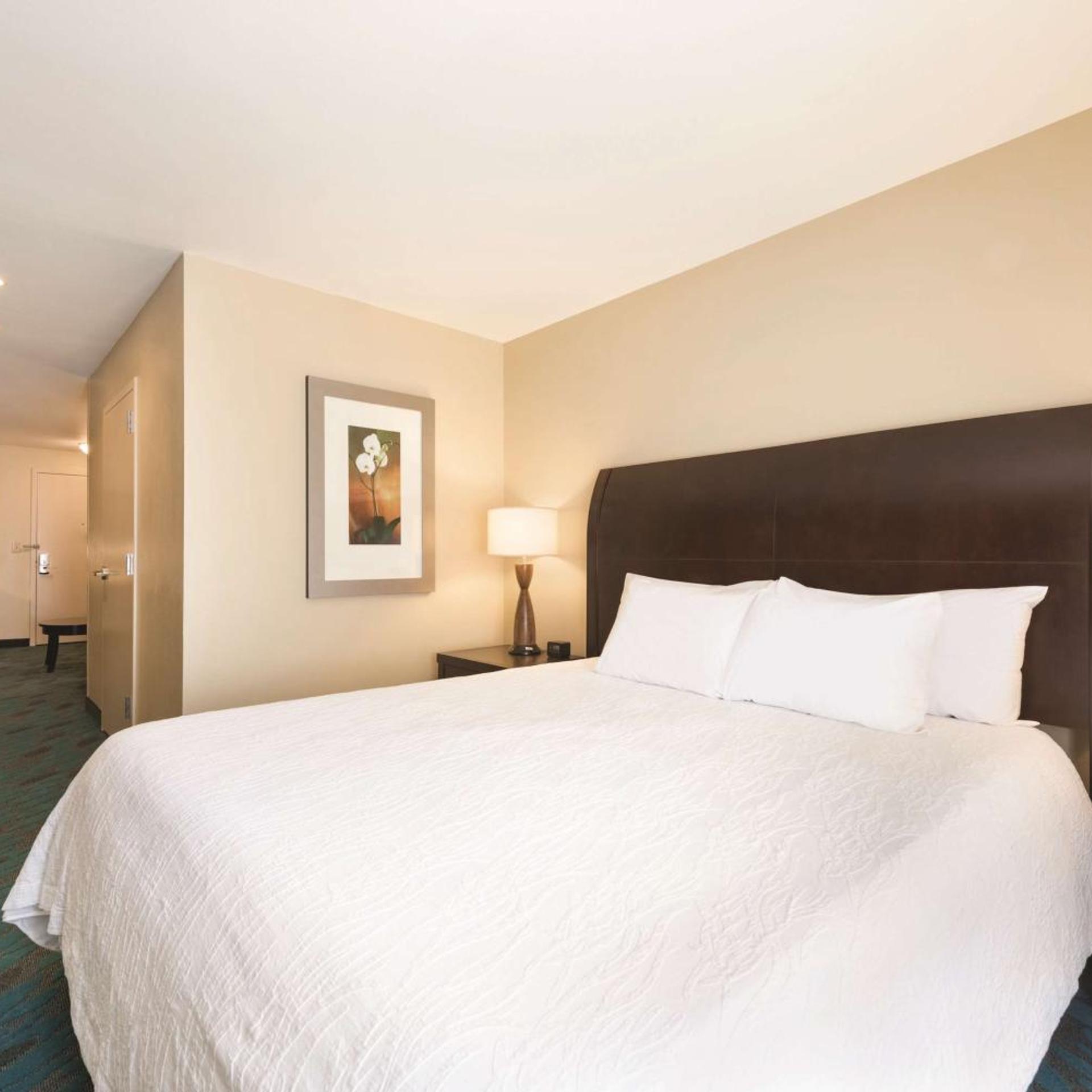 STUDIO, SUITE, KING BED, SOFA