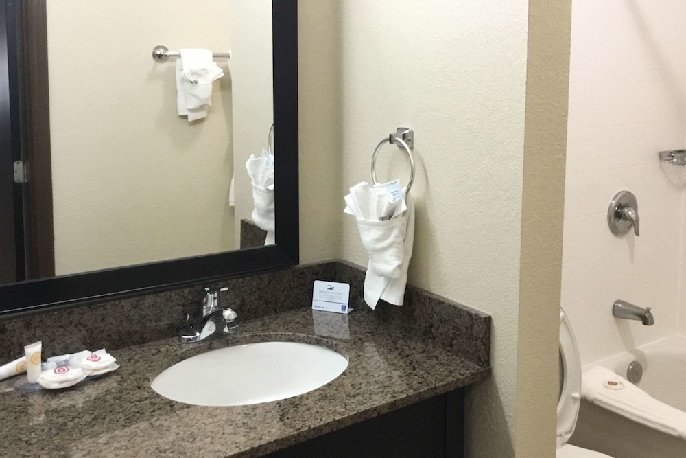 Comfort Inn Asheville East-Blue Ridge Pkwy Access 13/39