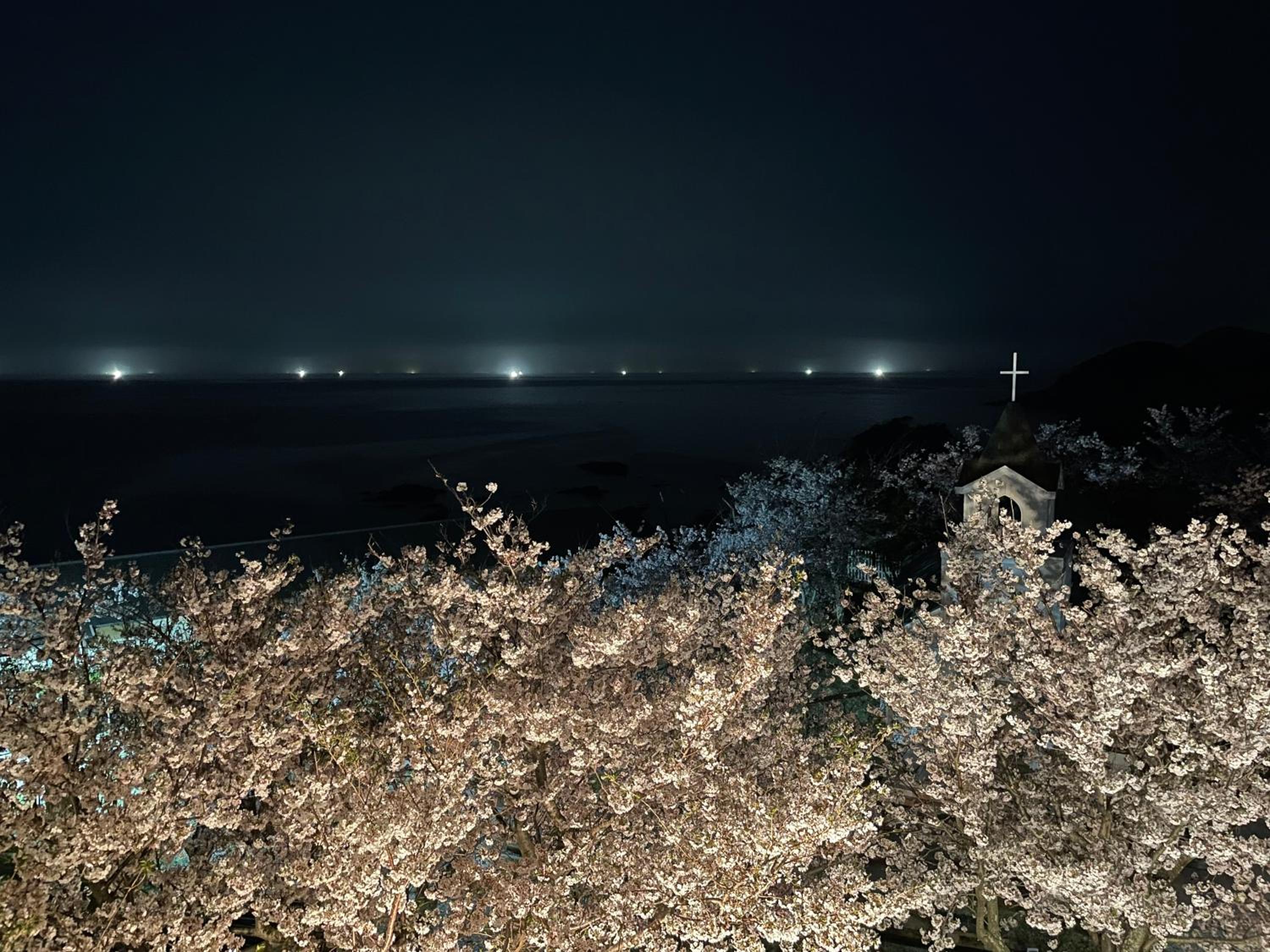 Tsushima Grand Hotel 47/53