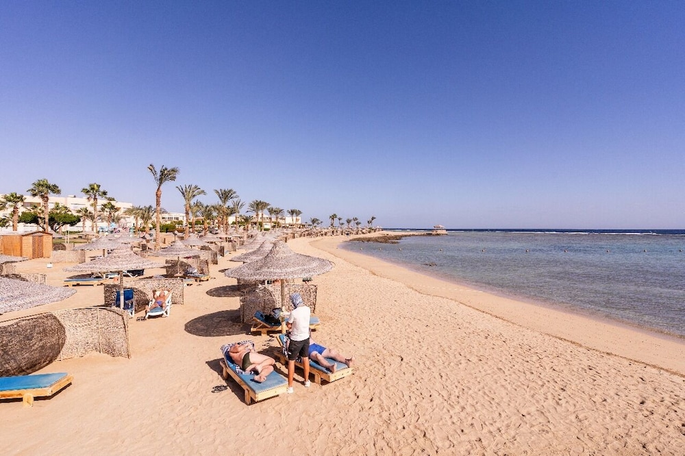 Shoni Bay 46/50