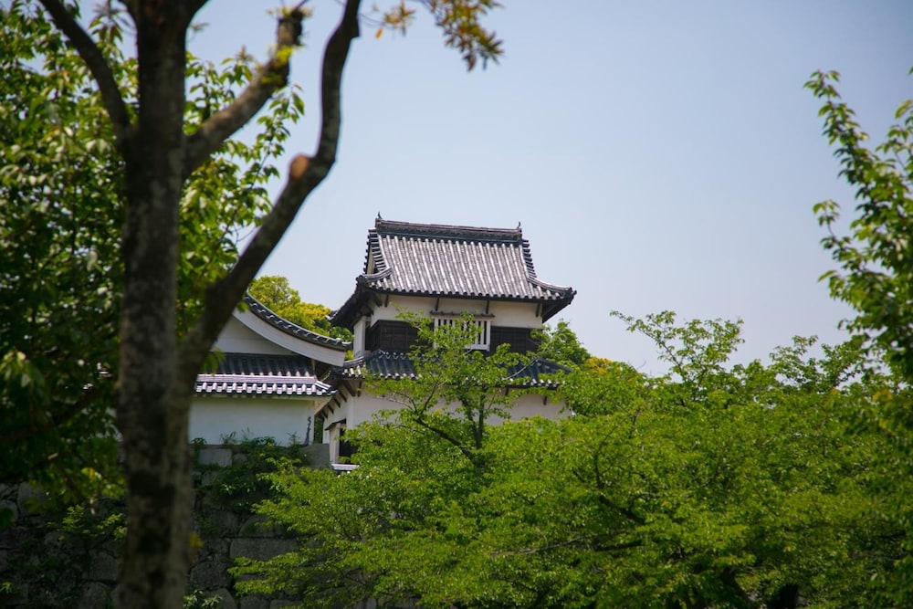 Heiwadai Hotel Arato 35/39
