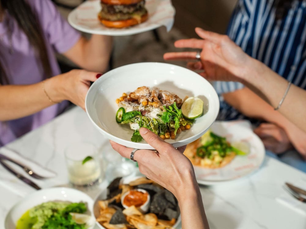 TRIBE Auckland 38/48