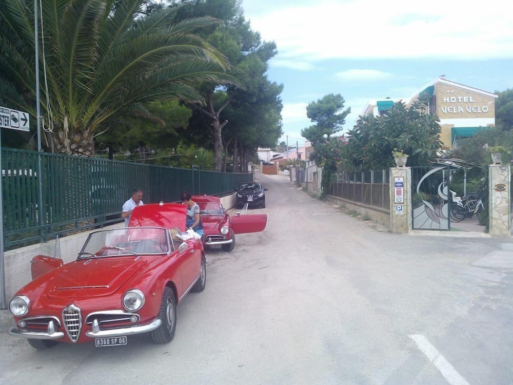 Vela Velo Club 22/50