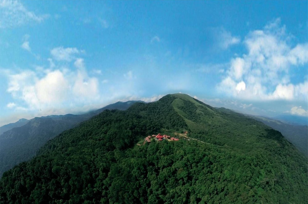 Wild Planet Jungle Resort 36/50