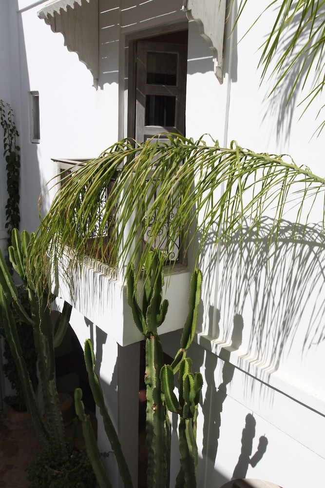 Riad O2 2/50