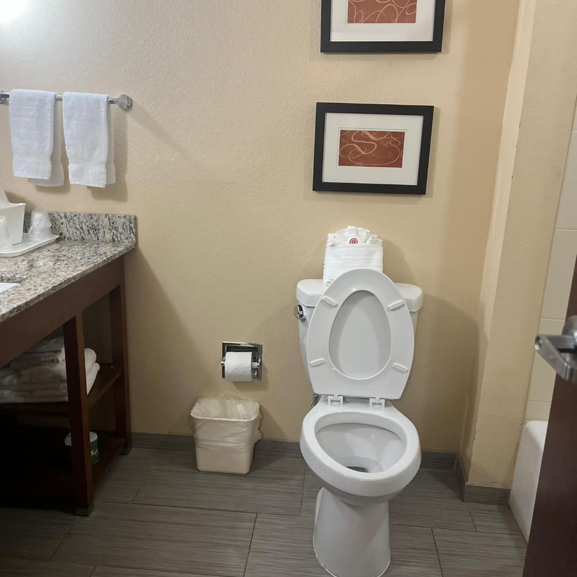 جناح بسرير كوين، Comfort Suites Cotulla Near I-35 4/6