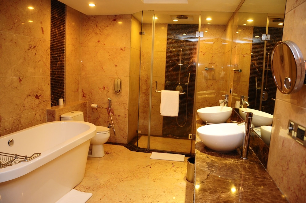 Radisson Blu Plaza Hotel Delhi Airport 16/76