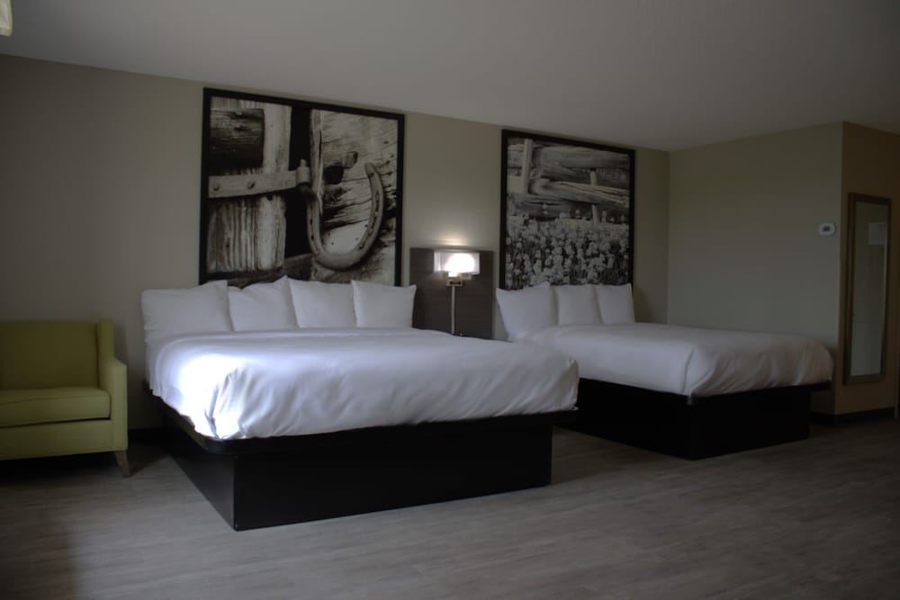 Super 8 by Wyndham Lamar 8/46