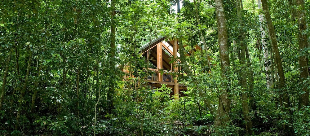 The Canopy Treehouses 23/25