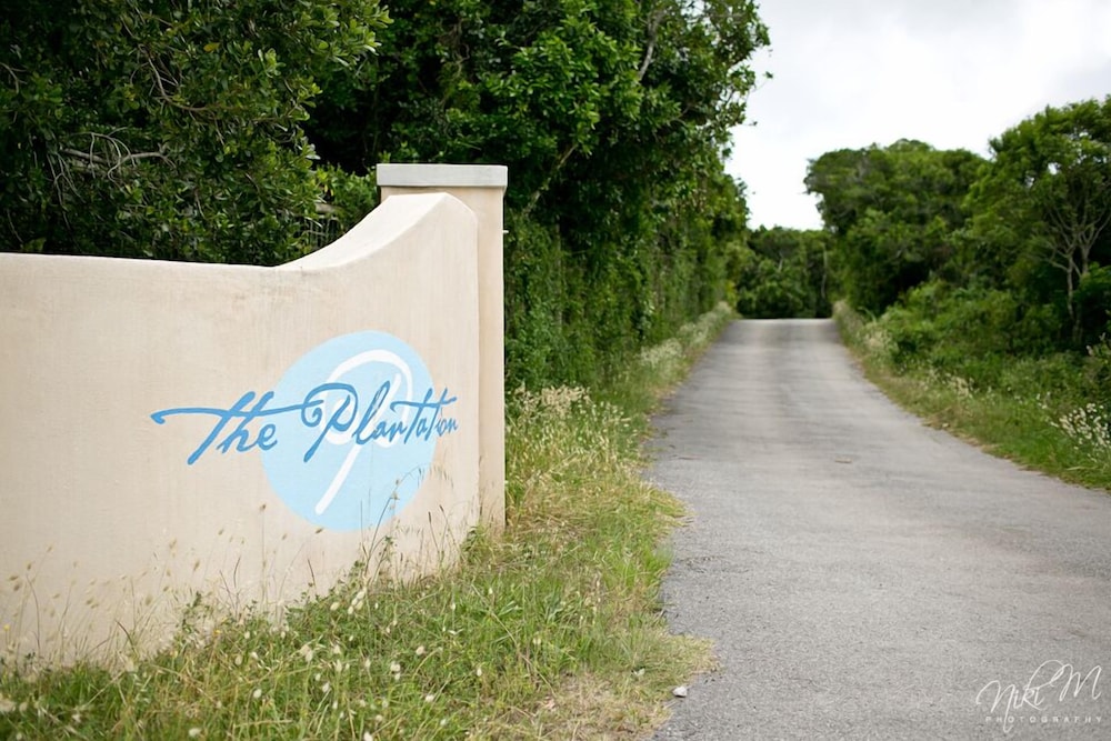 The Plantation 19/35
