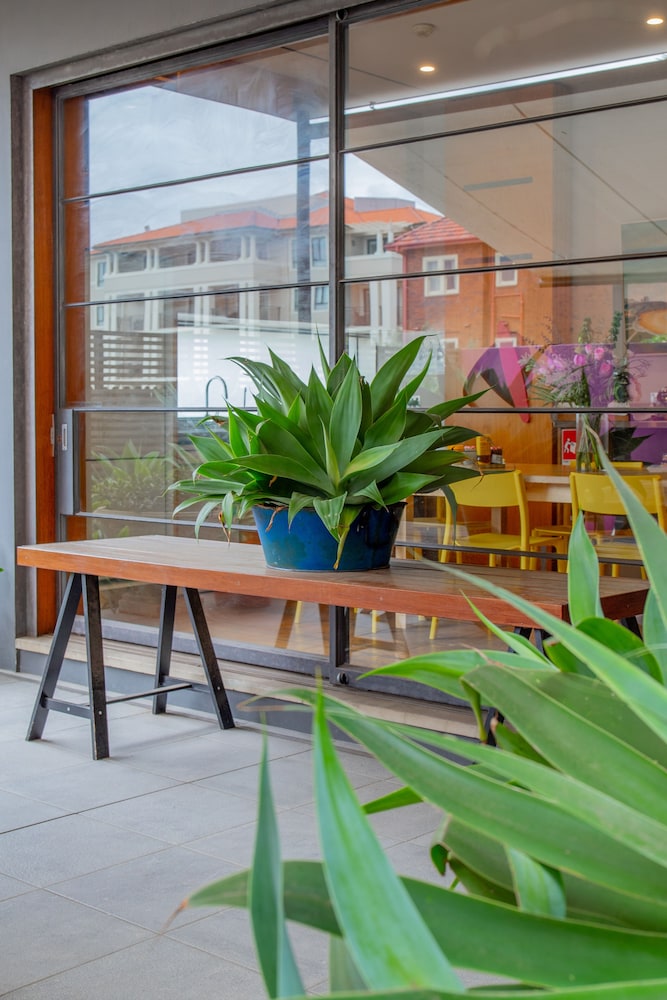 Dive Hotel Coogee Beach 48/53