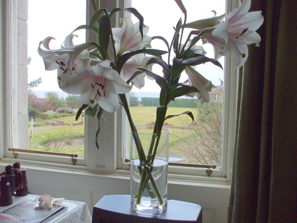 Carlton Seamill B&amp;B 35/50