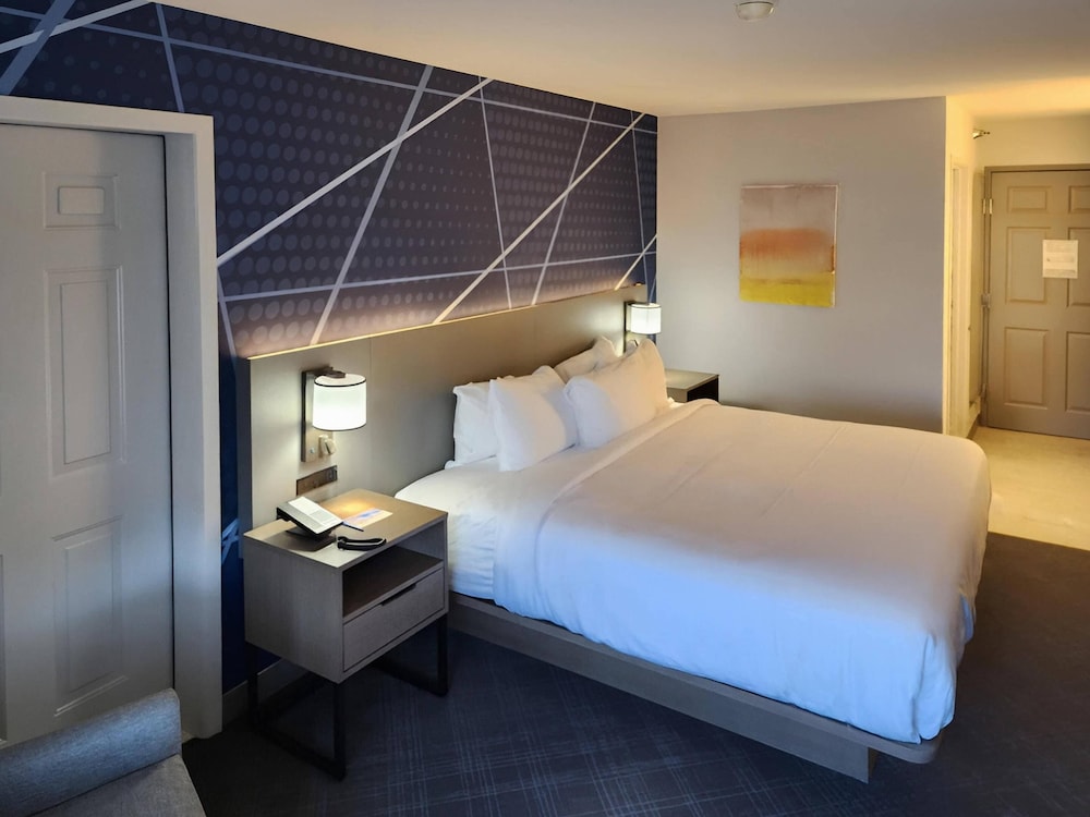ROOM, KING BED, ACCESSIBLE