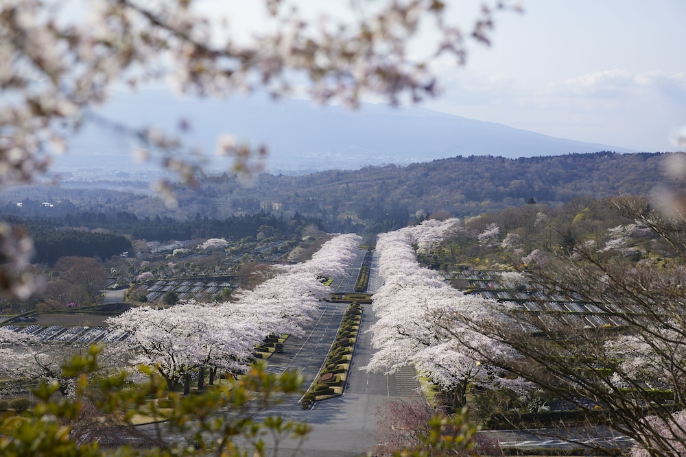 Fuji Speedway Hotel, The Unbound Collection by Hyatt 44/49