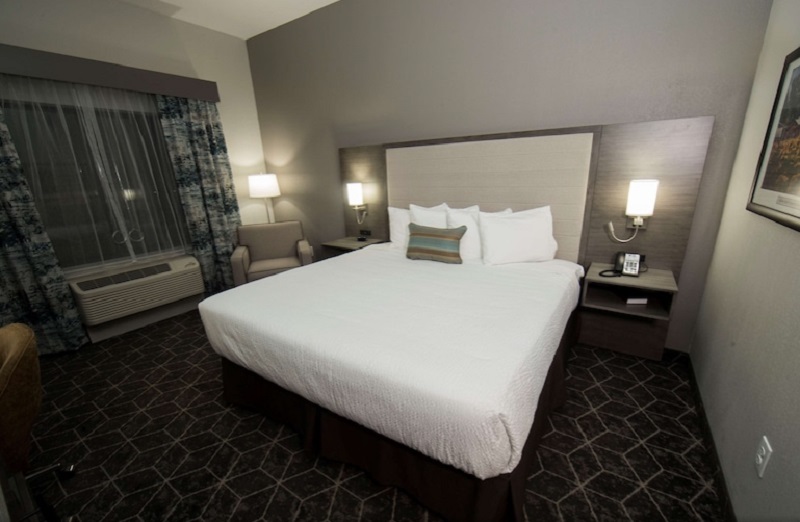 Suite, King Bed