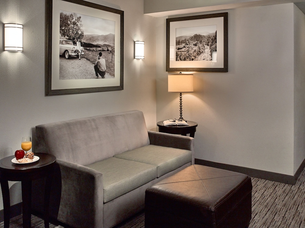 Hilton Garden Inn Gatlinburg 43/70