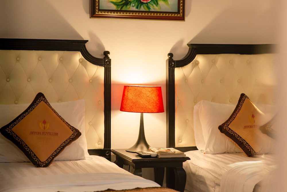 Bellevue Hotel photo2