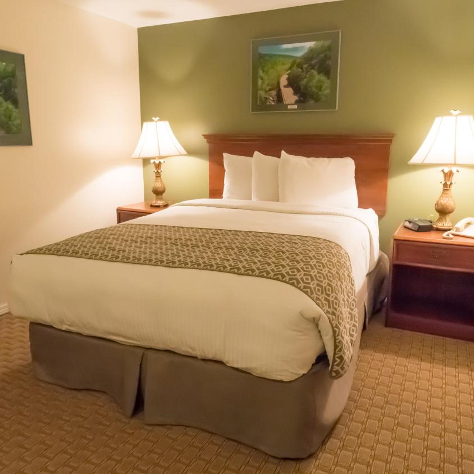 Fort Davidson Hotel 1/26