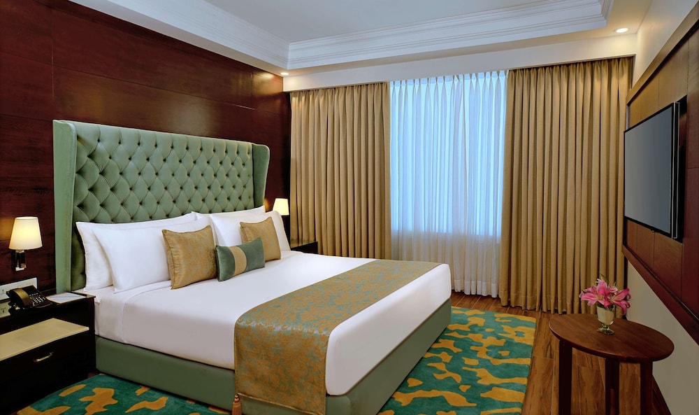 Radisson Chandigarh Zirakpur 18/64