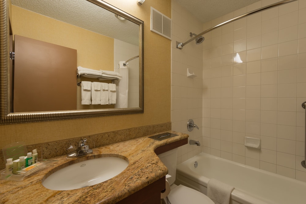 Holiday Inn Steamboat Springs 21/79