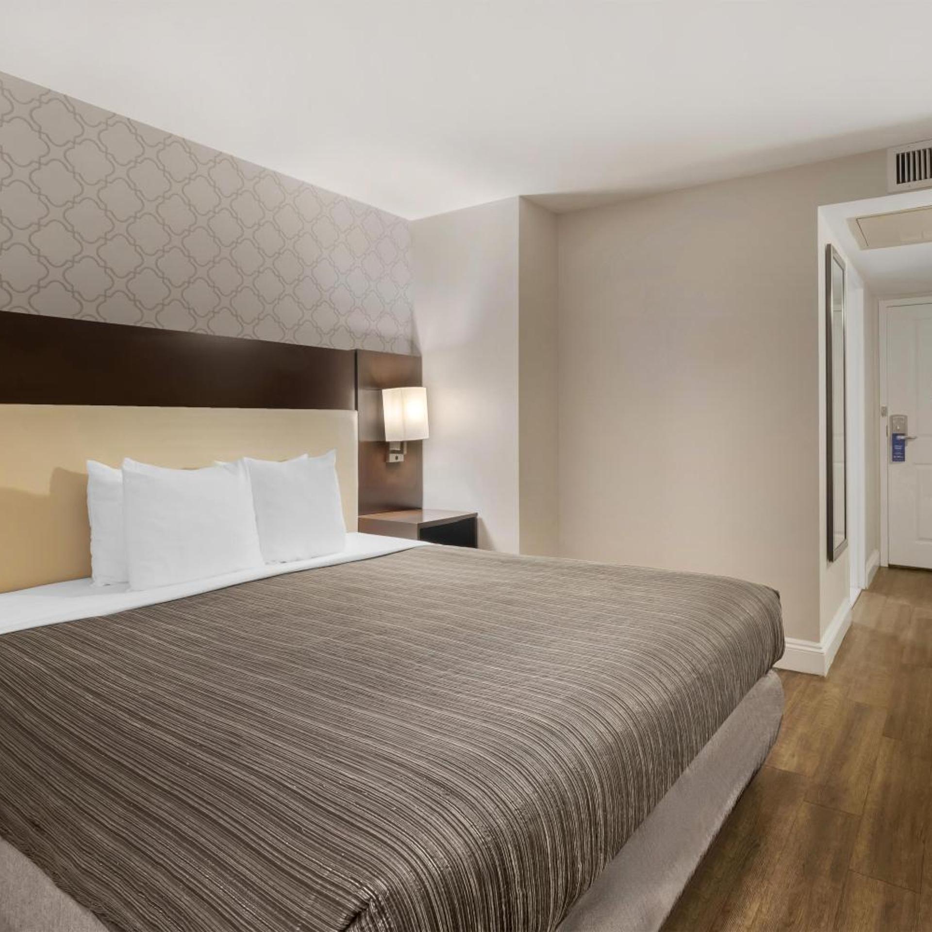 Superior, King Bed