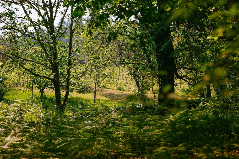 Quinta Da Bouca De Arques 30/50