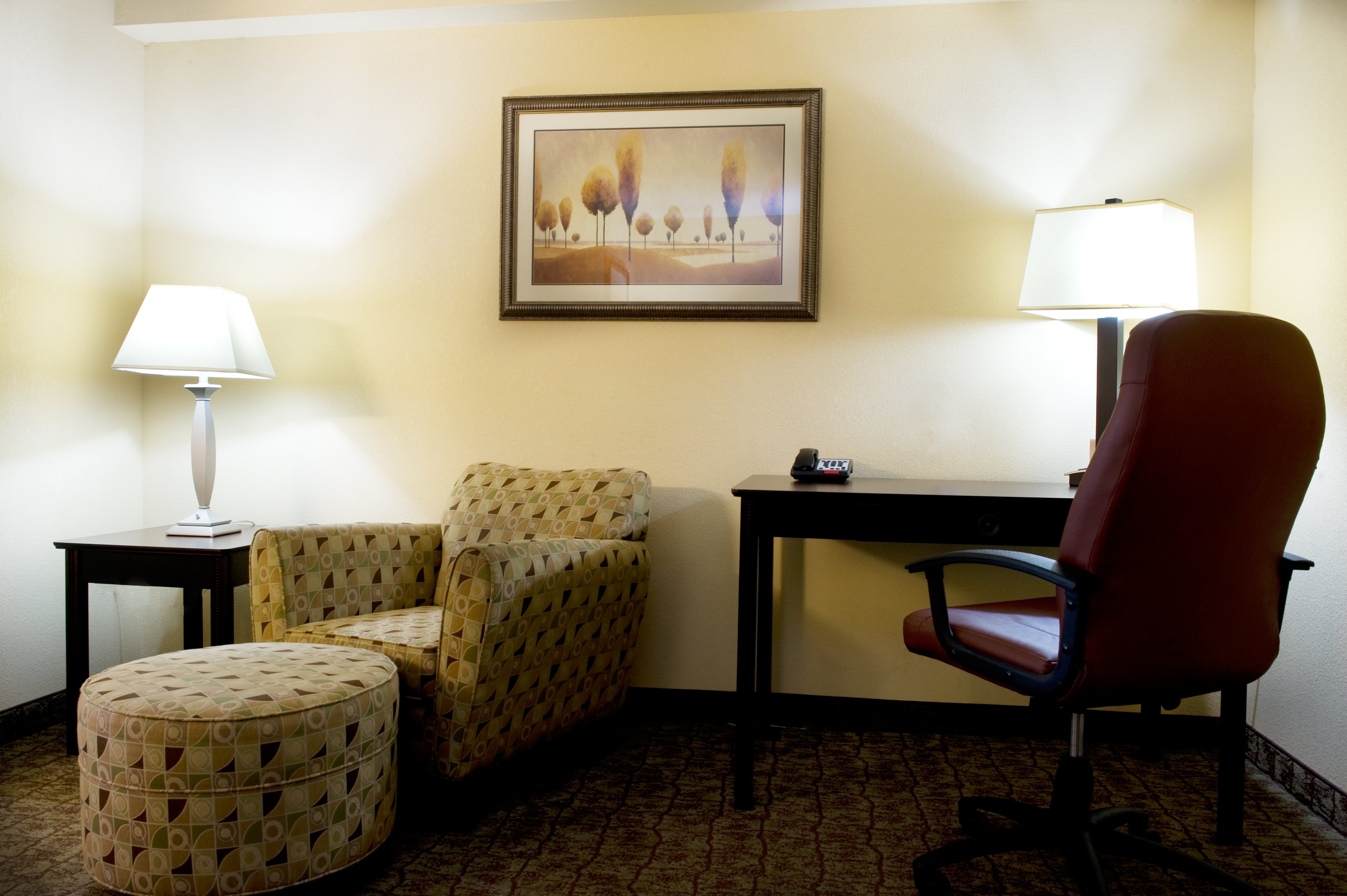 Holiday Inn Express Hotel And Suites Dallas Ft Worth Airport South 15/30
