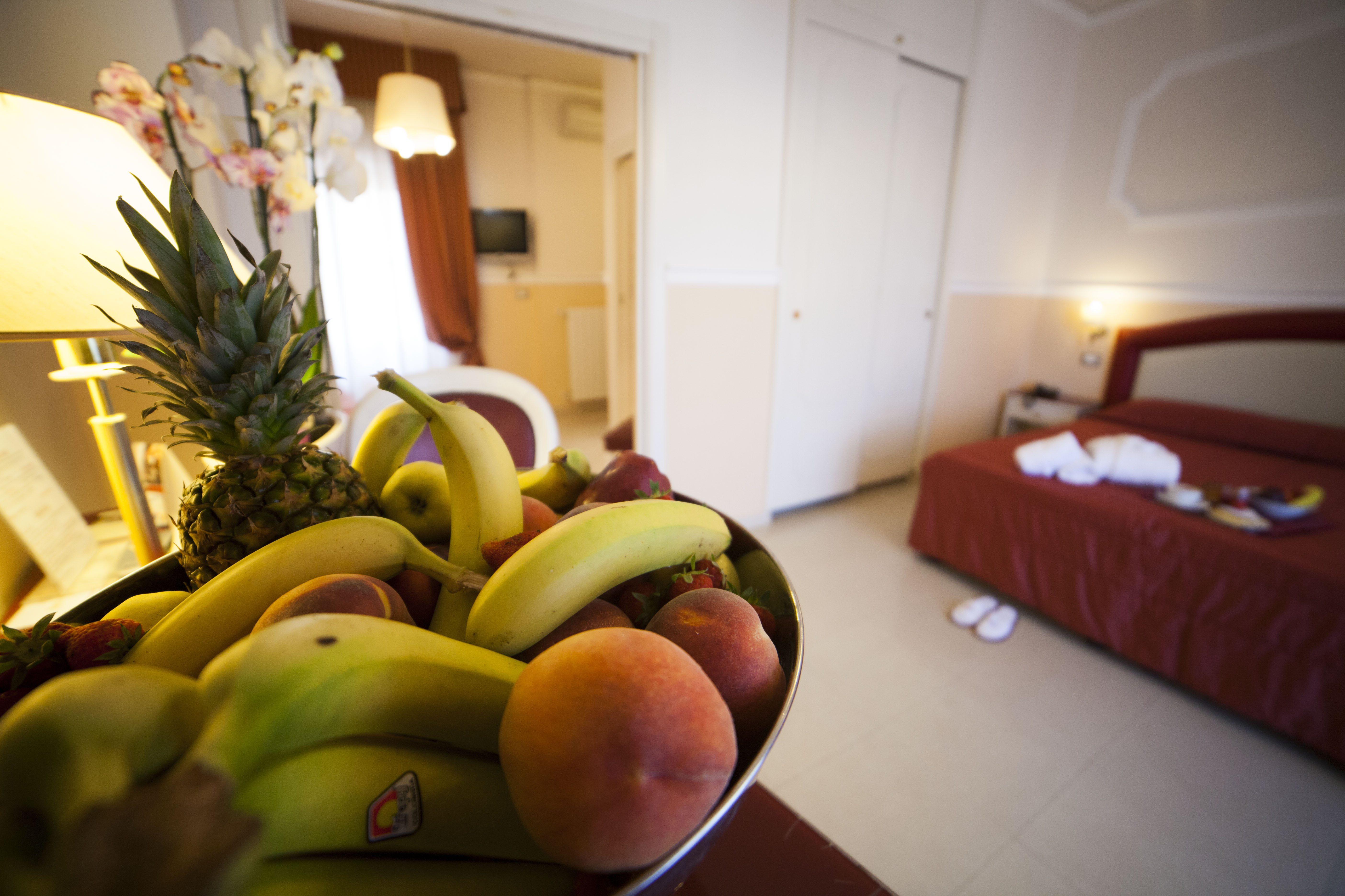 Grand Duca Hotel 31/49