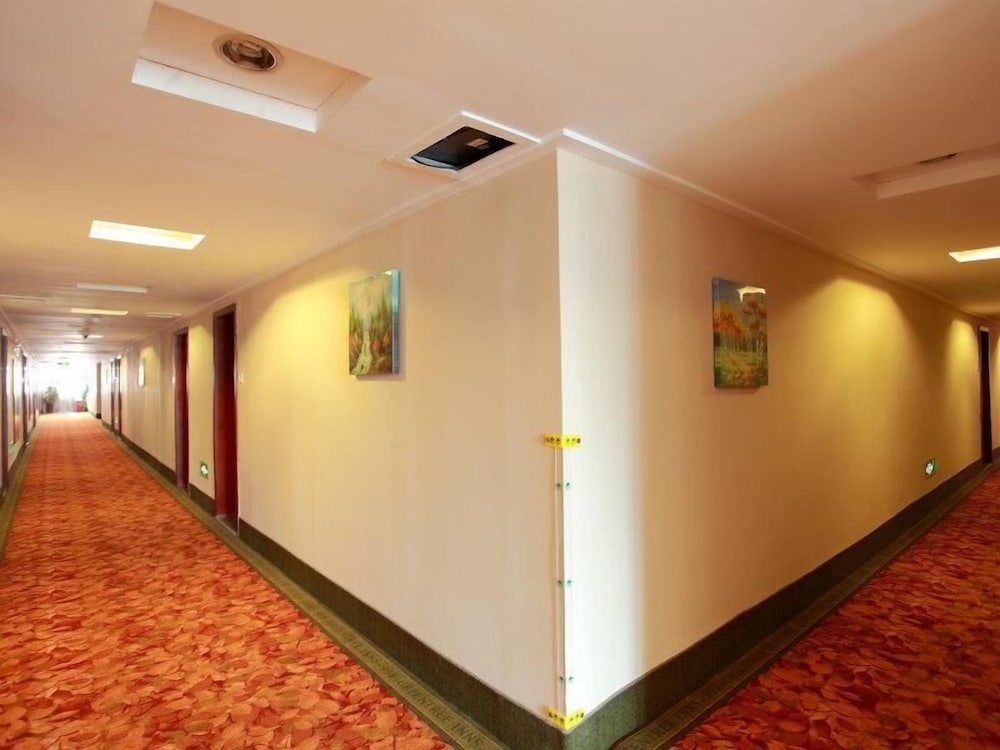 GreenTree Inn Hefei Chenghuangmiao Hotel 39/55