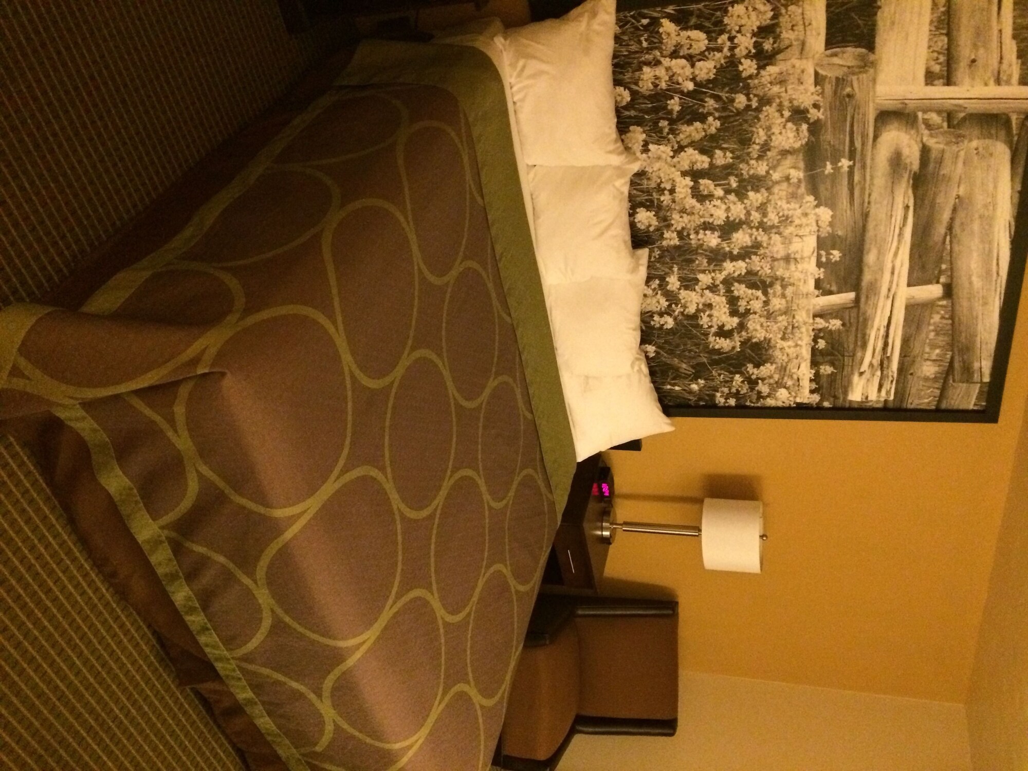 غرفة قياسية بسرير كينج، Super 8 By Wyndham Idaho Falls 4/4