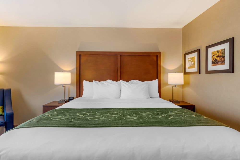 Comfort Inn Suites Schenectady - Scotia 14/44