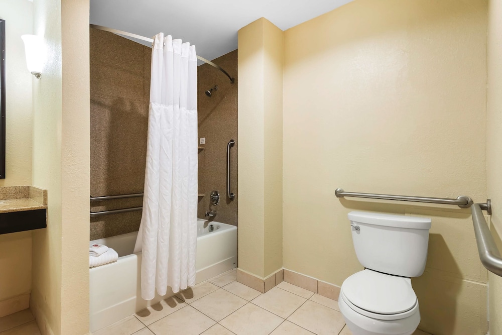 Comfort Suites Tampa Airport North 8/35
