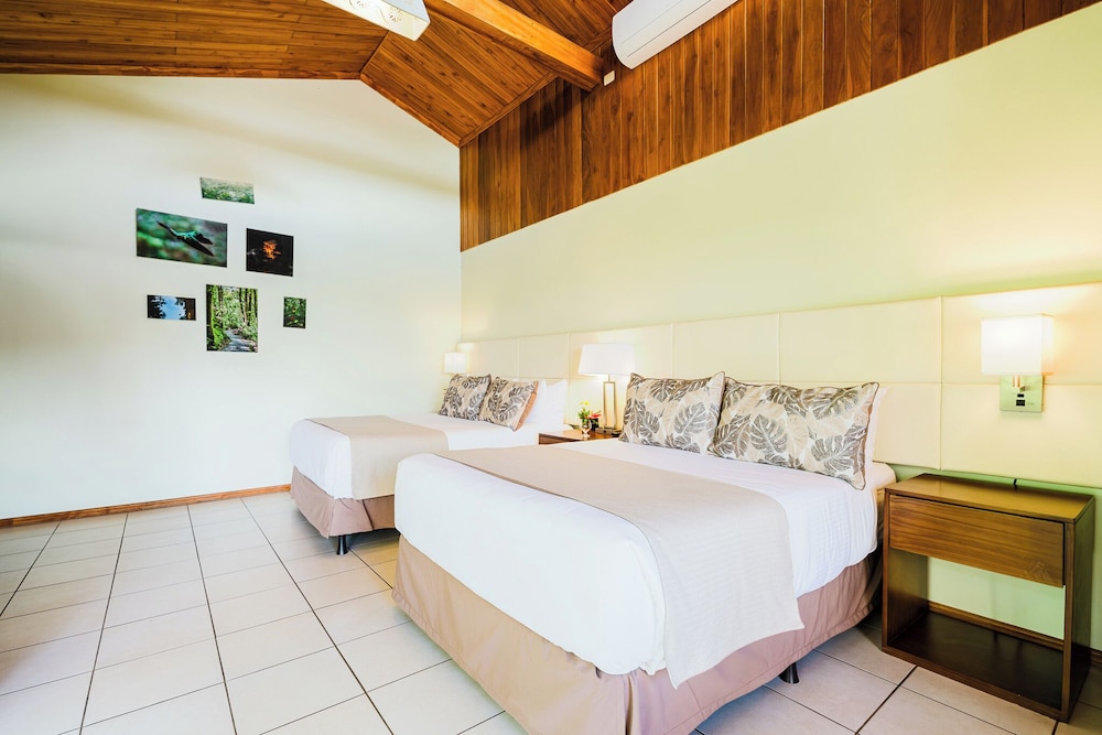 Hotel Ficus Monteverde 19/74